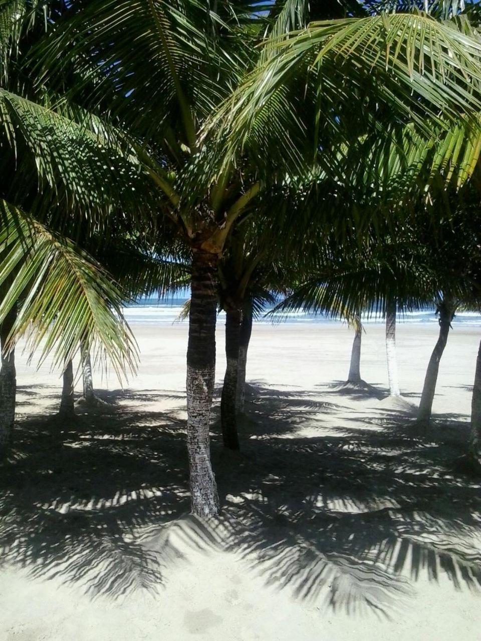 Frente Mar Piscina Churrasqueira Wifi Garagem Portaria 24Hs Apartment Solemar Exterior photo
